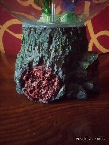 plasmas su cənləri: Dekorativ akvarium kranlı — 6