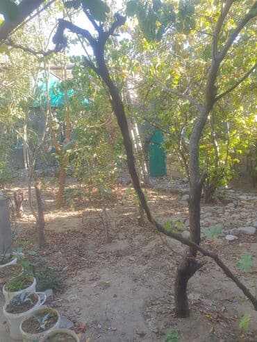 xoçəsən: Xocəsən 4 otaqlı, 120 kv. m — 14