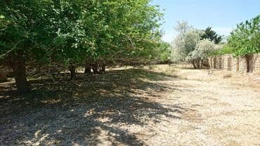 bir sot torpaq nece metrdir: 25 sot, Tikinti, Makler, Kupça (Çıxarış) — 8