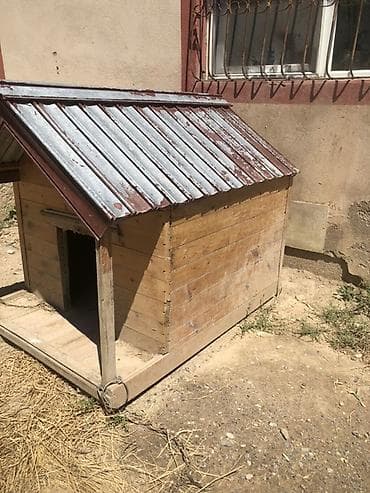 mal yemi: Taxta it evi - Material: qalın taxta lövhələr, möhkəm karkas - Ölçü — 2
