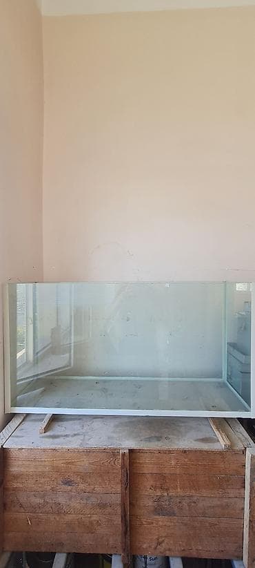 ev heyvanları: Böyük şüşə akvarium - Material: şəffaf qalın şüşə, kənarları ağ — 2