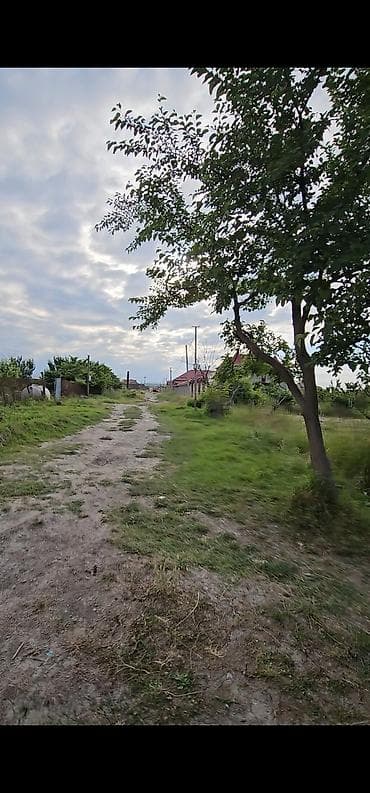 bakıda kiraye evler ucuz: 8 sot, Kupça (Çıxarış) — 5