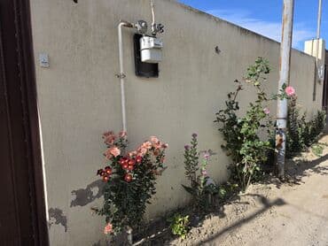 bina az kirayə: Satılır: həyət evi - Geniş, işıqlı mətbəx: üst- və alt şkaflar — 8