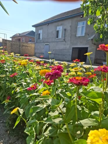 дешевые дома в баку: 4 комнаты, 170 м², Нет кредита, Свежий ремонт — 1