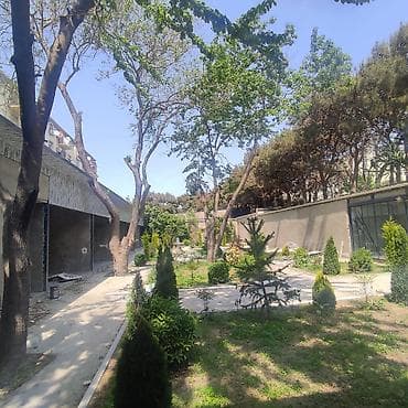 dadas bunyadzade kucesi: Xırdalan şəhəri, AAAF Park yaşayış kompleksi, sıx gediş-gəlişli əsas — 7