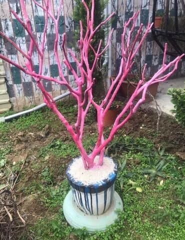 ağaç güller: Süni ağac — 1