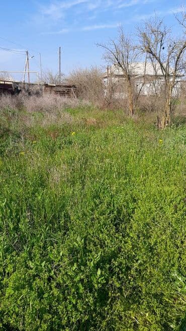 1 комнатная квартира снять: 15 sot, Mülkiyyətçi, Kupça (Çıxarış), Bələdiyyə — 3