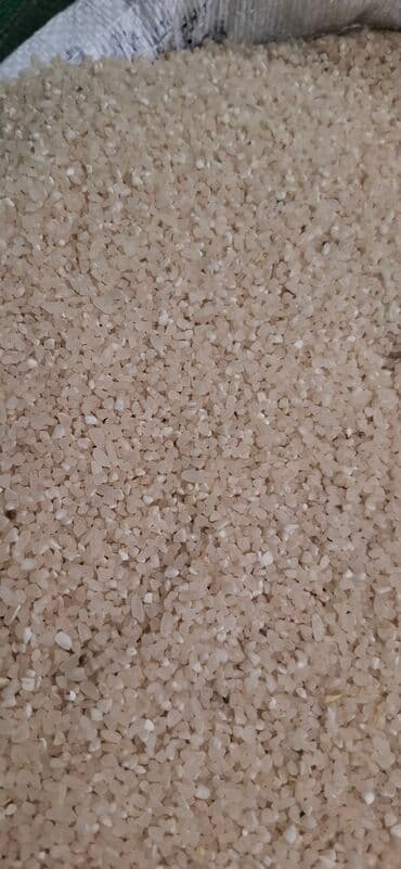 акун мука цена: Məhsul: Ağdaş düyüsü (xırda qırıq düyü) Öz kəndimizin məhsuludur — 3