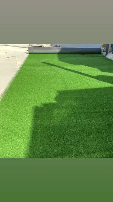 gobelek toxumu nece hazirlanir: Kovrolin — 6