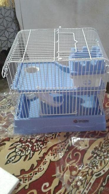 hamster qiymətləri: Yashil qefes 25 azn basqa qefeslerde var tezediler qiymeti 15 aznden — 3