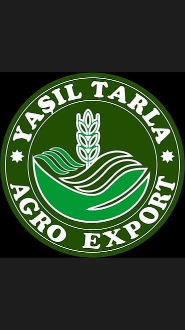 alpine yağları: YASIL TARLA AGRO EXPORT IRAN GIGEYNA MEHSULARI KEYFIYETLI VE UCUZ — 2