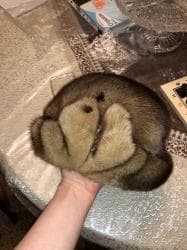 vabbage patch kələm gəlinciklər: Norka papag teze — 3