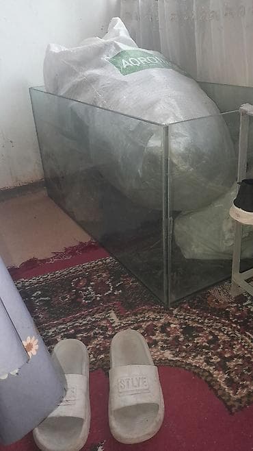 heyvalar: Şüşə akvarium - Material: qalın şüşə, şəffaf - Forma: düzbucaqlı, düz — 3