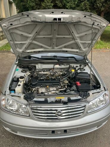 ниссан жук: Nissan Sunny: 1.6 л | 2008 г. Седан — 11