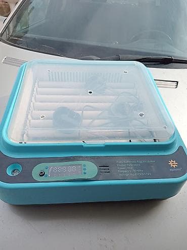 i̇nqubator: Tam avtomatik yumurta inkubatoru – Eplions Xüsusiyyətlər: - Güc: 80W — 3