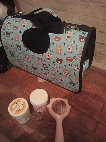 ucuz pisik satisi: Şotland — 3