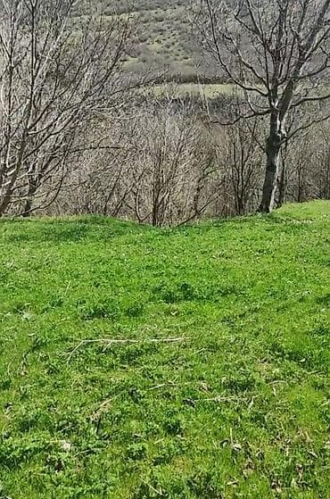 kredit ile: Kənd təsərrüfatı — 3