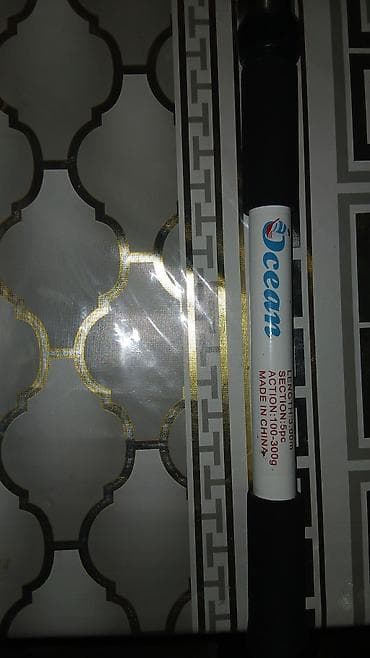 ovcular: “Ocean” teleskopik balıq çubuğu - Uzunluq: 3.00 m 100-300 Qruz atis — 3