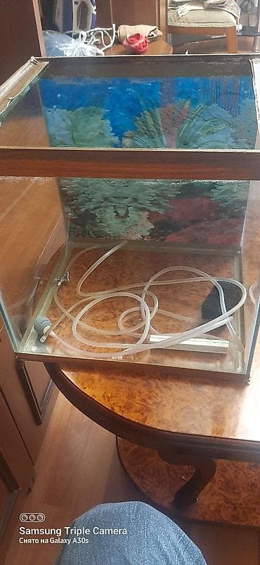 kompresör 100 lt: Dördbucaq akvarium, Boş, 3 l, Ünvandan götürmə — 1