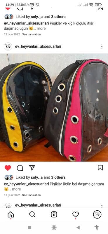 pişik daşıma cantası: Erkək, Dişi — 5