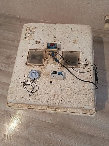 inkubatora: Inqabator 60azn.63 yumurta tutur. Ünvan ramani — 2