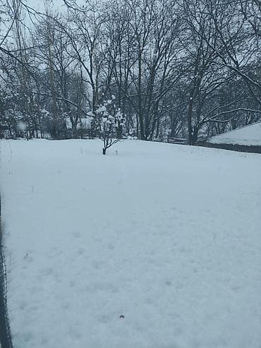 kiraye yolu ile satilan evler: 9 sot, Tikinti, Kupça (Çıxarış) — 3