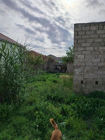 evl: Satılır: yarımçıq tikili və həyət sahəsi - Material: daş hörgü - — 3