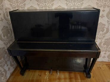 Qapıların quraşdırılması, montajı: Piano, Belarus, Akustik — 2