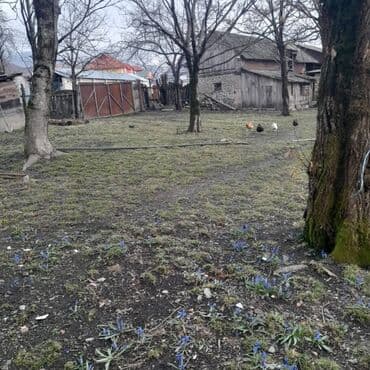 imişlidə torpaq satılır: 8 sot, Biznes üçün, Bələdiyyə — 14