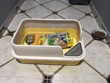 Pişik tualeti dəsti - Açıq tipli, ikiqat divarlı pişik tualet qabı