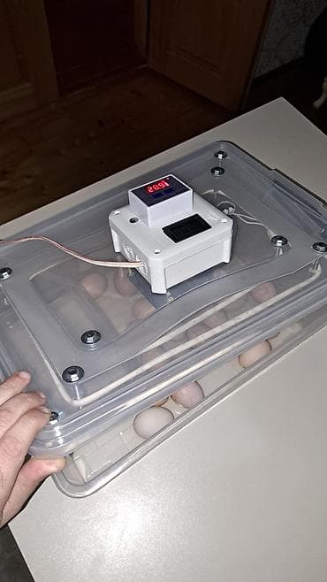 Оборудование для магазинов: Полностью автоматическая — 3