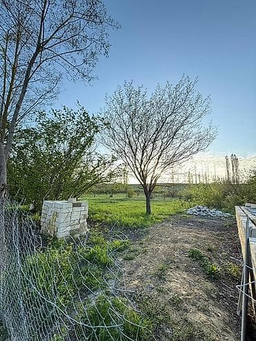 torpaq alqi satqisi: 10 sot, Tikinti, Kupça (Çıxarış) — 2