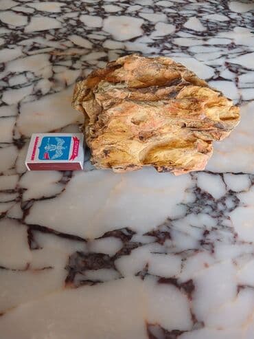 Qəribə formalı, sarımtıl-qəhvəyi rəngli dekorativ daş. Akvariumda və lalafo.az -da Qəribə formalı, sarımtıl-qəhvəyi rəngli dekorativ daş. Akvariumda və