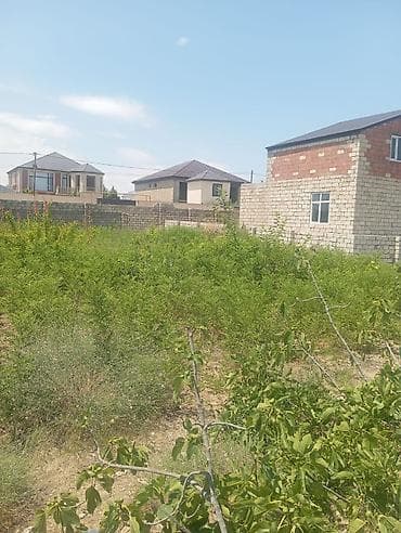 nardaranda: 13 sot, Tikinti, Mülkiyyətçi, Kupça (Çıxarış) — 7