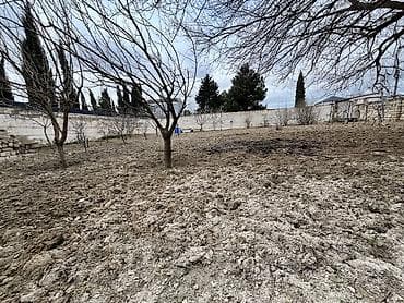 torpaqlar: 10 sot, Tikinti, Mülkiyyətçi, Kupça (Çıxarış) — 3