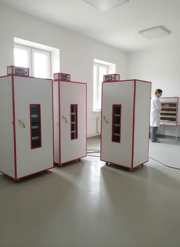 Инкубаторы: Азербайджан, Для всех видов птиц — 1
