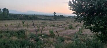 mağaza üçün yer icarəyə götürürəm: Ünvan: Qusar şəhəri Ləyər kəndi (ləzgi ləyər) 1hk 68 sot bağ yeri — 23