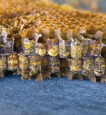 bakida hava saatliq: Çiçək tozu, polen, 100qr - 12 manat — 8