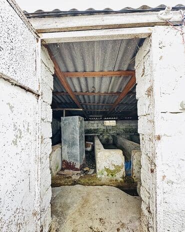 xacmazda torpaq qiymetleri: Təcili satılır. Real alıcı ilə razılaşmaq olar. Xaçmaz rayonu — 24