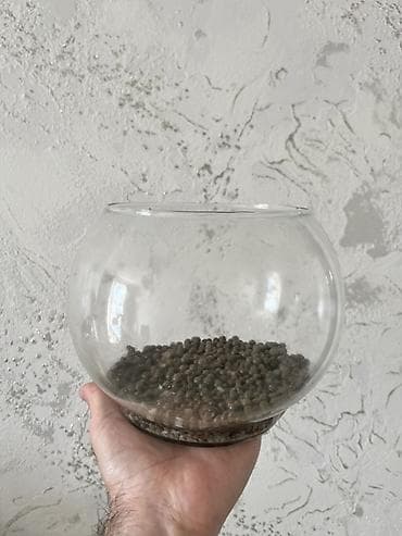 balaca itlerin satisi: Yumru akvarium, Boş, 3 l, Ünvandan götürmə, Ödənişli çatdırılma — 2