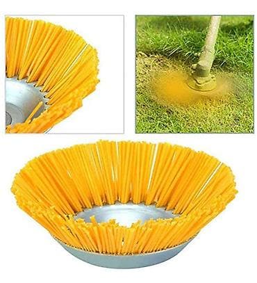 ceyran otu: Otbiçən Yeni, Ödənişli çatdırılma — 1