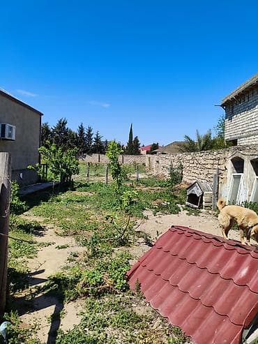 30 mine evler: 9 sot, Tikinti, Maklerlər narahat etməsin, Kupça (Çıxarış) — 4