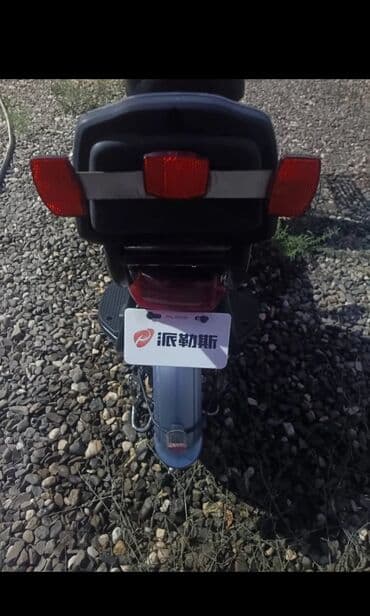 электроскутер купить в баку: Elektrik skuter – şəhərdaxili rahat və səssiz hərəkət üçün. Cəmi 6 ay — 2