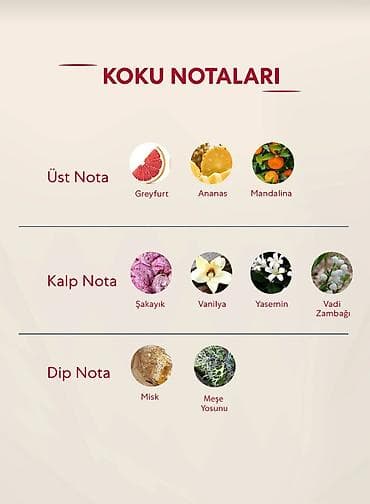 eclat ətir qiyməti: Bargello 384 – Eau de Parfum (For Women) – 50 ml Qoxu piramidası: - — 3