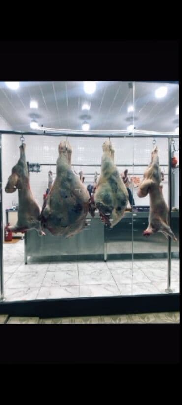 qəssab: Qessab — 1