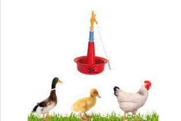 ozturkler qaz: Su qabları 
Ördək Qaz üçün — 1