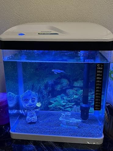 LED işıqlı kompakt akvarium seti - Marka/model: Solo (üst qapaqda