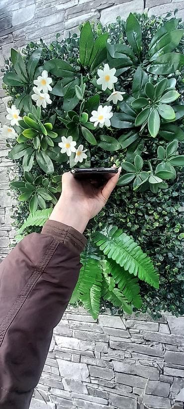 mi android box: IPhone X, 64 GB, Qara, Face ID — 4