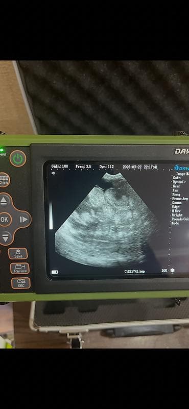 inek sagan aparat: Kiçik baş heyvanların (qoyun, keçi) boğazlığını yoxlamaq üçün istifadə — 3