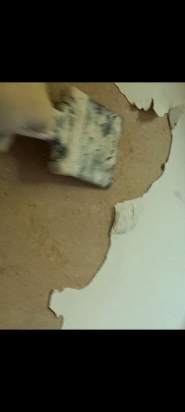 demir seyf qapi: Emulsiya/Boya işləri – divar və tavanların rənglənməsi Xidmətlər: - — 7